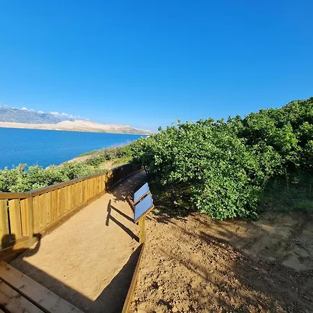 Luna Daire Stan Trigraci